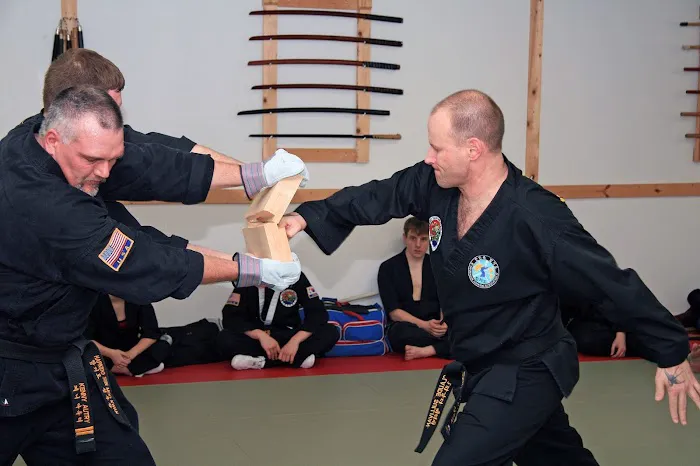 Decatur Martial Arts Academy Picture 2