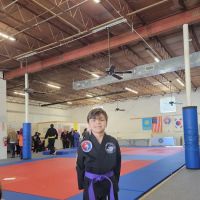 Decatur Martial Arts Academy ico