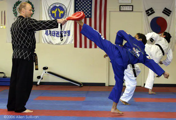 Decatur Martial Arts Academy Picture 6