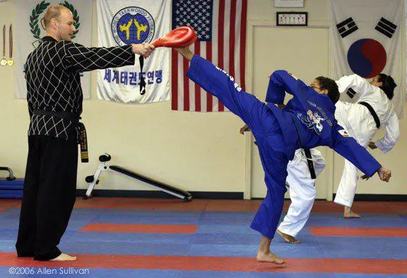 Decatur Martial Arts Academy Picture 9