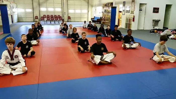 Decatur Martial Arts Academy Picture 10