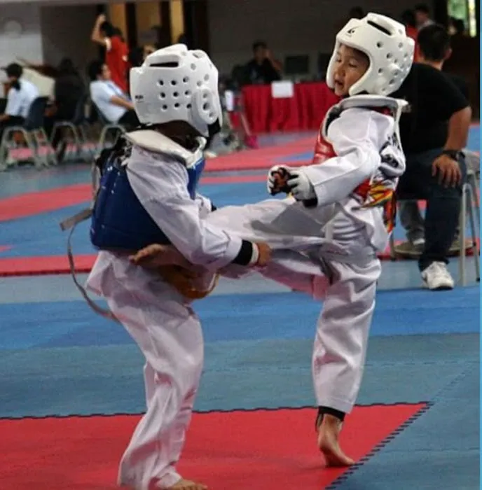 Master Morelands Taekwondo & Hapkido Picture 7