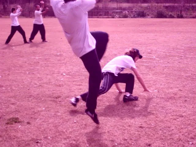 PATHS Atlanta Kung Fu Picture 7