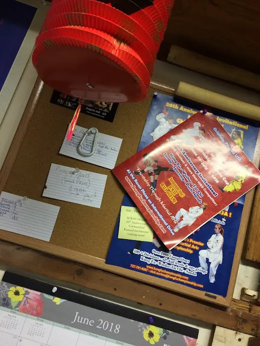 PATHS Atlanta Kung Fu Picture 9