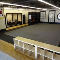 TONCHU Martial Arts Vinings ico