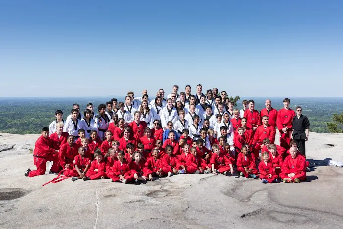 TONCHU Martial Arts Vinings Picture 8