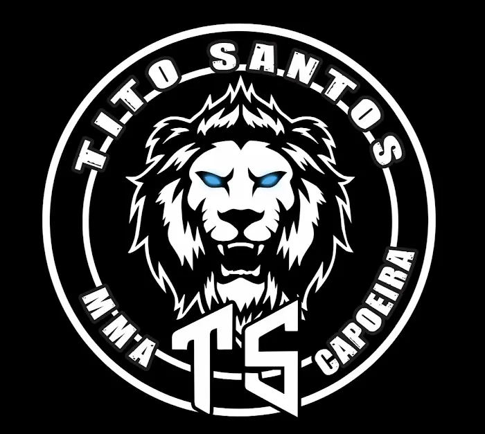 Tito Santos Martial Arts Academy Picture 2