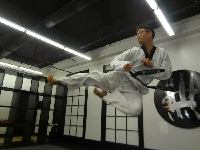 Tonchu Martial Arts Academy Picture 3