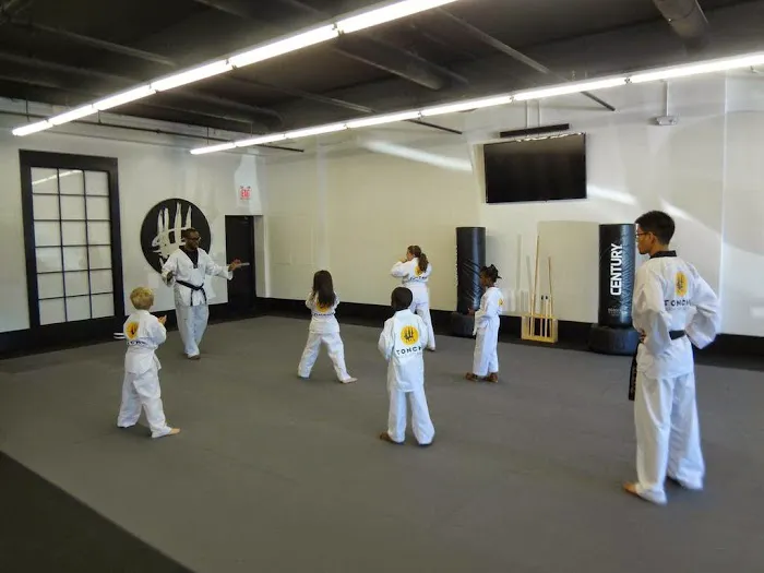 Tonchu Martial Arts Academy Picture 2