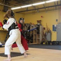 Yongsa Martial Arts ico