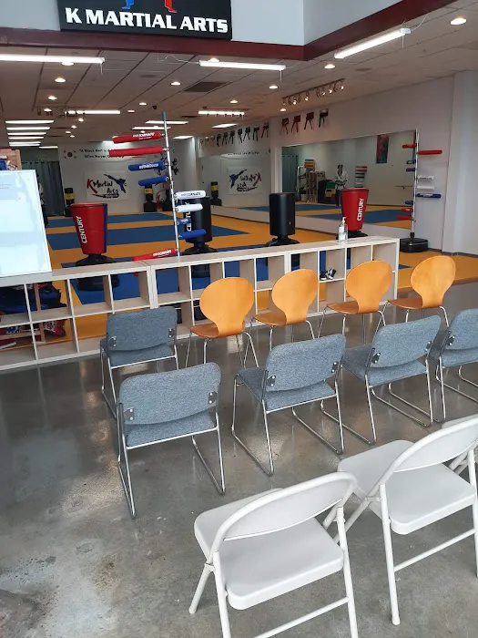 K Martial Arts Academy Picture 2