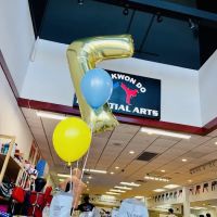 K Martial Arts Academy ico