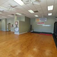 The Welch Martial Art Experience ico