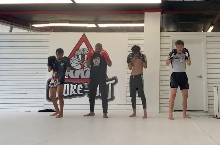 Choke Unit BJJ Picture 2