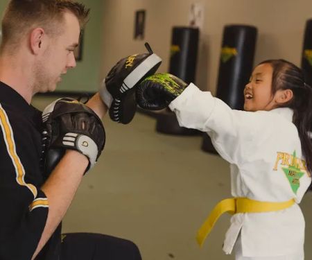 Premier Martial Arts Atlanta Buckhead (Central)