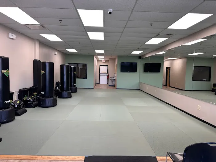 Premier Martial Arts Atlanta Buckhead (Central) Picture 6