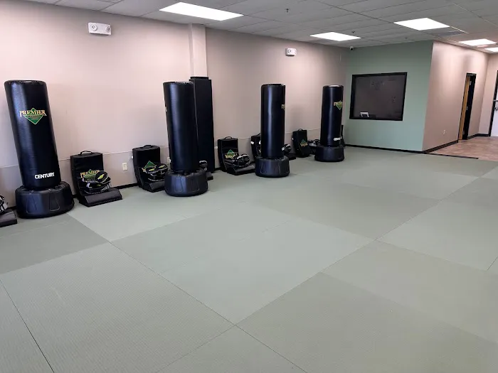 Premier Martial Arts Atlanta Buckhead (Central) Picture 4