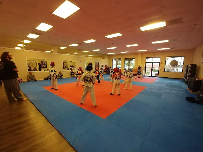 Lewis Global Karate - North Atlanta Karate Lessons, Tang Soo Do, Martial Arts Picture 2
