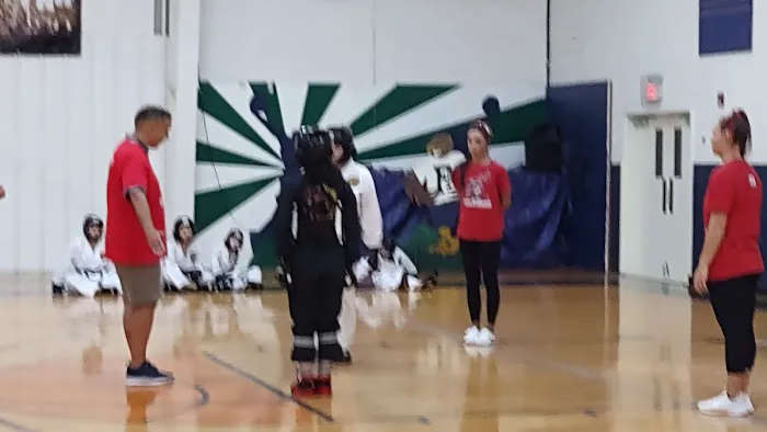 Lewis Global Karate - North Atlanta Karate Lessons, Tang Soo Do, Martial Arts Picture 6