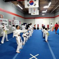 Gladiator Martial Arts Group L.L.C. ico