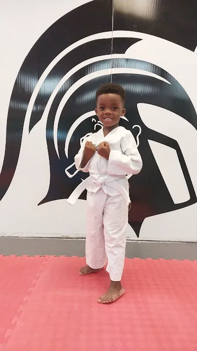 Gladiator Martial Arts Group L.L.C. Picture 10