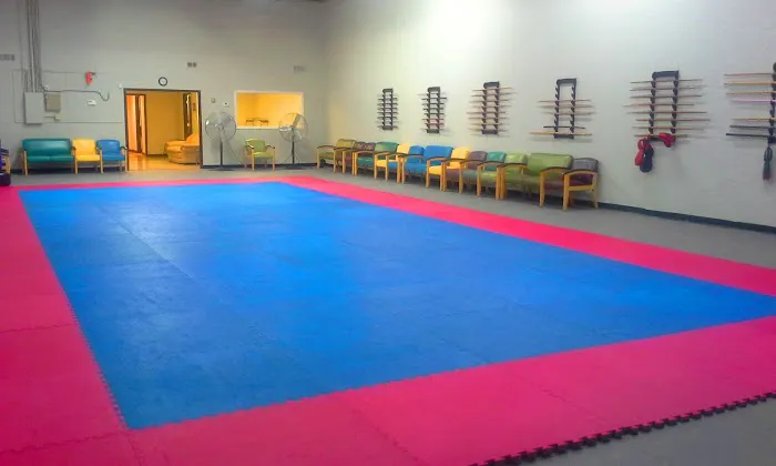 Gladiator Martial Arts Picture 2