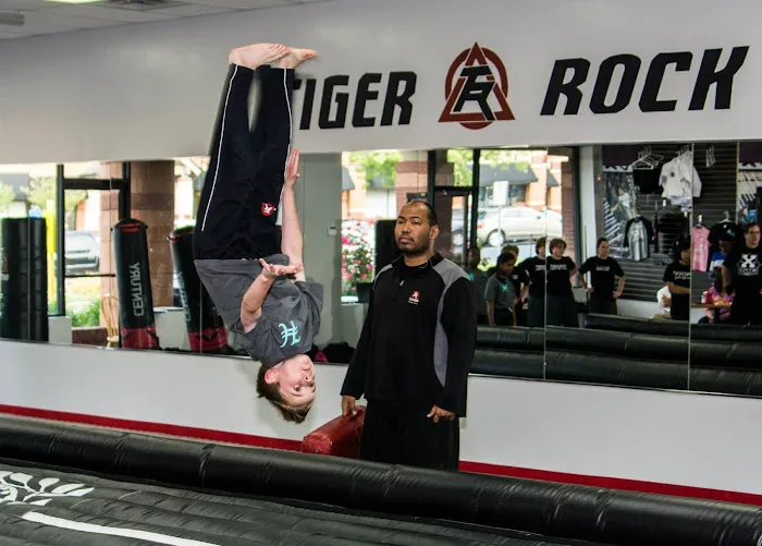 Tiger-Rock Martial Arts of Marietta, GA Picture 10