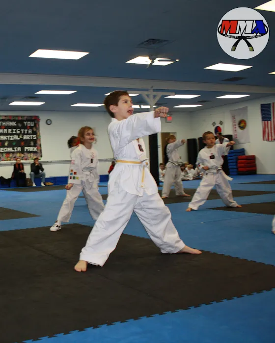 Marietta Martial Arts Picture 8