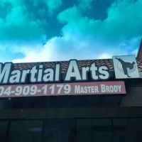 Wesley Chapel Martial Arts ico
