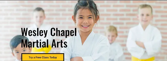 Wesley Chapel Martial Arts Picture 3