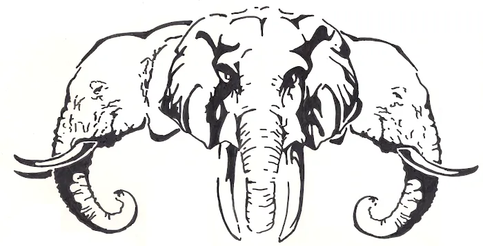 Wesley Chapel Martial Arts Picture 5