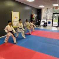 Riverdale Martial Arts | Master Riley's Taekwondo ico