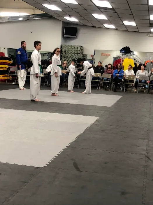 Stockbridge Tae Kwon Do Academy Picture 2