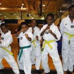 Stockbridge Tae Kwon Do Academy