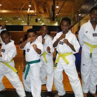 Stockbridge Tae Kwon Do Academy ico