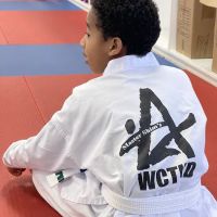 Master Shim's World Class Tae Kwon Do ico