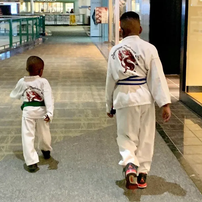 American Taekwon Do Picture 7