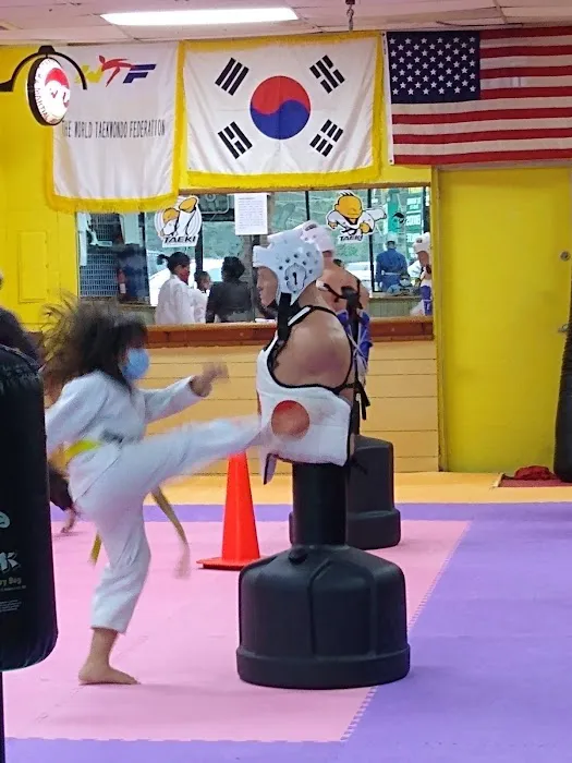 TKO Tae Kwon Do Picture 2