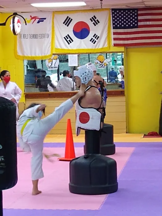 TKO Tae Kwon Do Picture 1