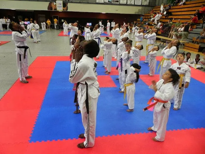 TKO Tae Kwon Do Picture 4
