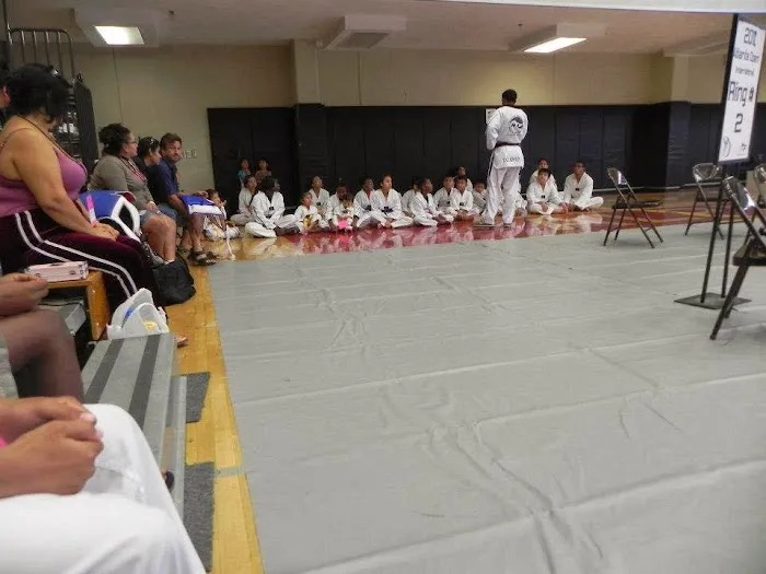 TKO Tae Kwon Do Picture 8