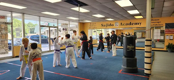 Sajido Martial Arts Academy Picture 1
