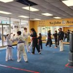 Sajido Martial Arts Academy