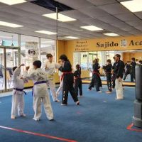 Sajido Martial Arts Academy ico