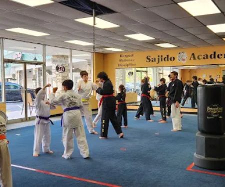 Sajido Martial Arts Academy