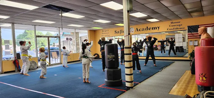 Sajido Martial Arts Academy Picture 2