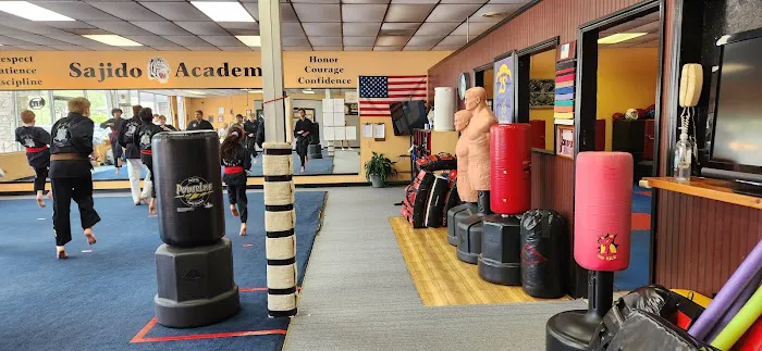Sajido Martial Arts Academy Picture 4