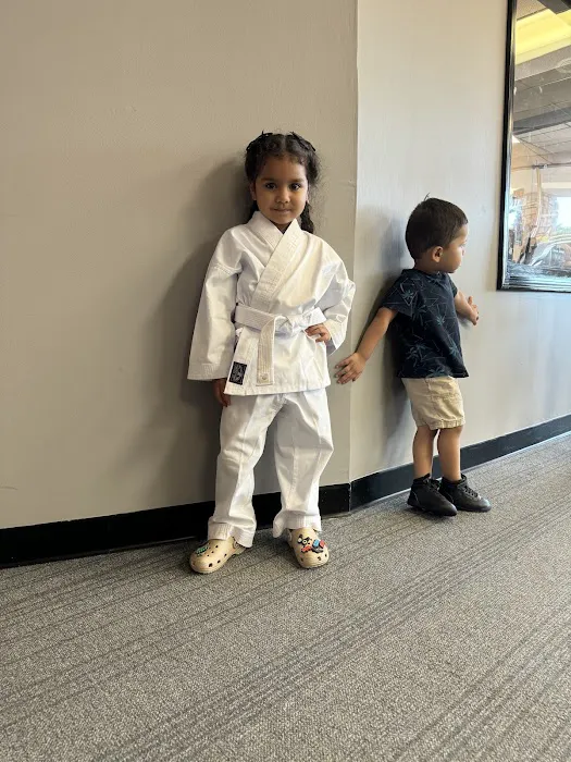 Sajido Martial Arts Academy Picture 3