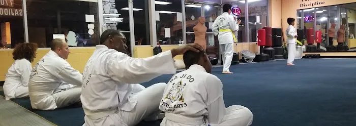 Sajido Martial Arts Academy Picture 8