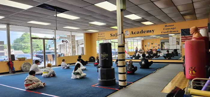 Sajido Martial Arts Academy Picture 10